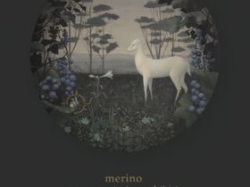 merino 「village record」msb gallery