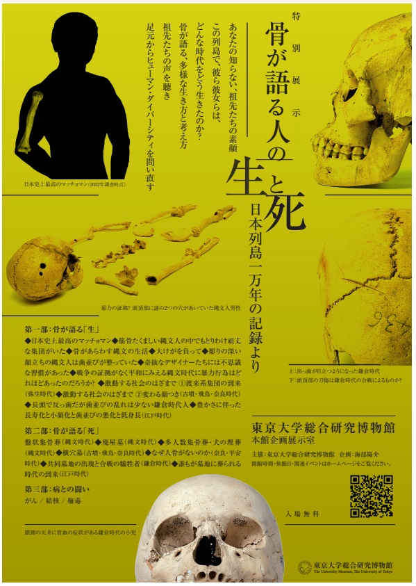 特別展示「骨が語る人の「生と死」　日本列島一万年の記録より」東京大学総合研究博物館　本郷本館