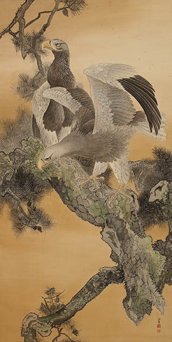 福井江亭《老松鷲図》1934年　通期展示　福田美術館蔵