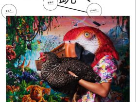 「見るまえに跳べ　日本の新進作家vol.20」東京都写真美術館