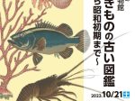 「海の生きものの古い図鑑－明治から昭和初期まで－」千葉県立中央博物館分館 海の博物館