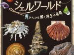 「埼玉シェルワールド―貝からひも解く埼玉の自然―」埼玉県立自然の博物館