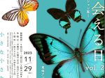 村田泰隆コレクション展Vol.2「東南アジアが育んだ多様性」京都大学総合博物館