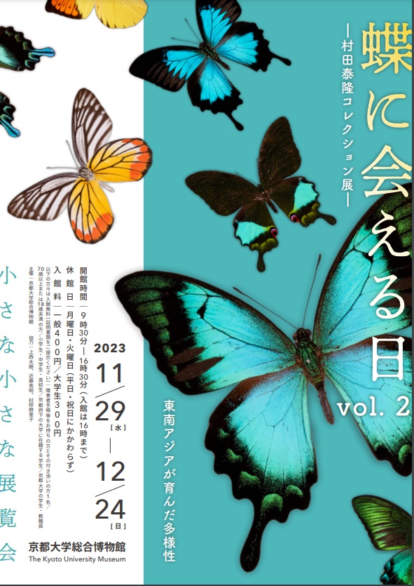 村田泰隆コレクション展Vol.2「東南アジアが育んだ多様性」京都大学総合博物館