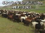 「モンゴル高原の牧畜社会の始まりを探る」九州大学フジイギャラリー