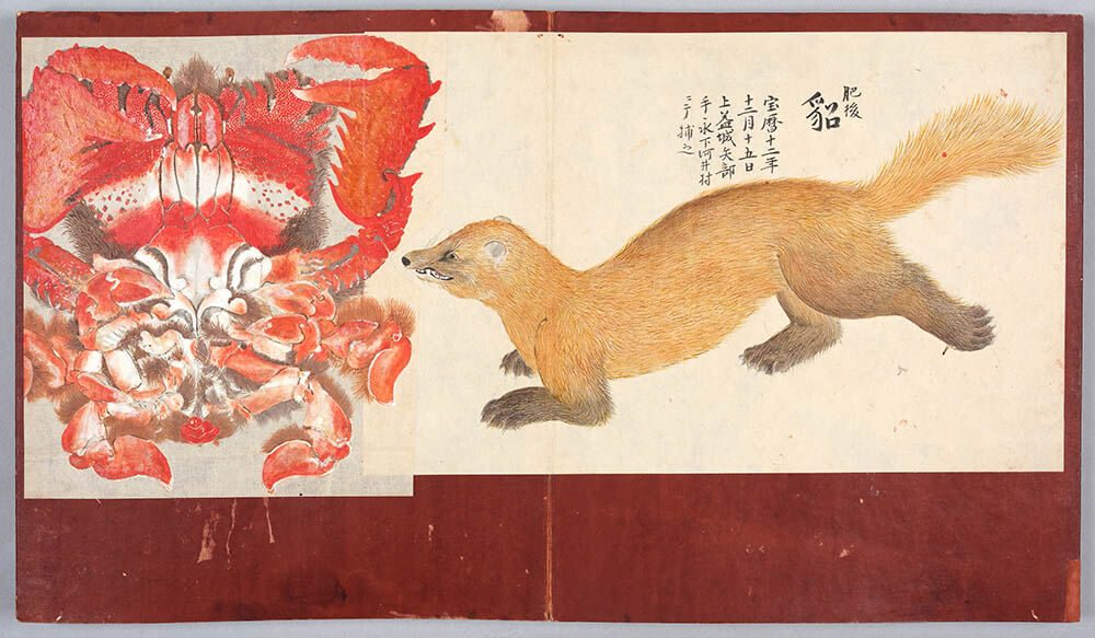 「毛介綺煥(もうかいきかん)」（部分）江戸時代（18世紀）永青文庫蔵　前期展示