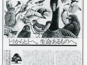 企画展示「サントリー愛鳥週間キャンペーン50周年記念」薮内正幸美術館