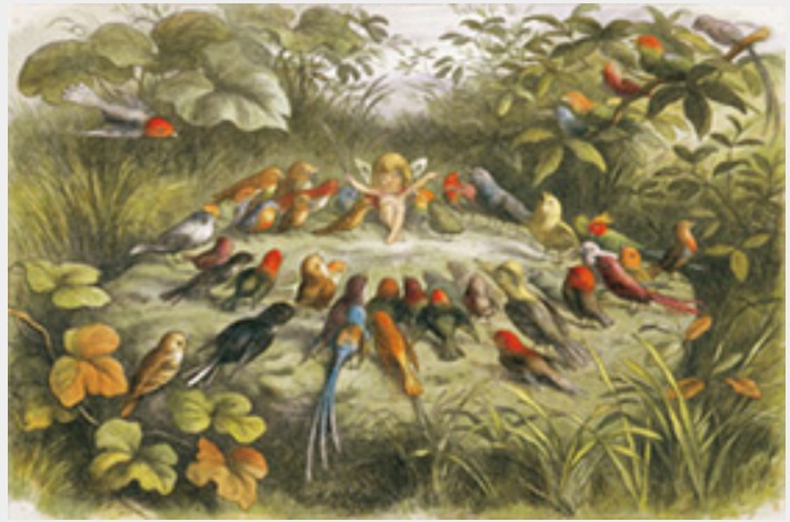 リチャード・ドイル 『妖精の国にて』 1875年