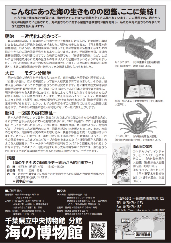 「海の生きものの古い図鑑－明治から昭和初期まで－」千葉県立中央博物館分館 海の博物館
