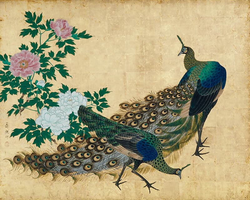 亀岡規禮《牡丹孔雀図》江戸時代・18-19世紀　泉屋博古館

