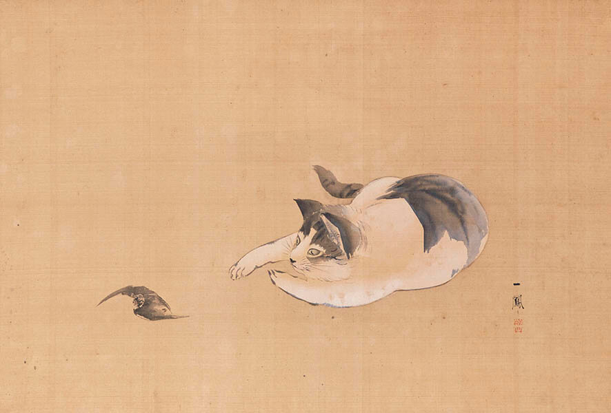 森一鳳《猫蝙蝠図》江戸時代・19世紀　泉屋博古館