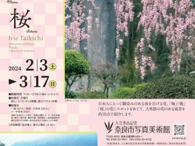 入江泰吉「梅・桃・桜」入江泰吉記念奈良市写真美術館