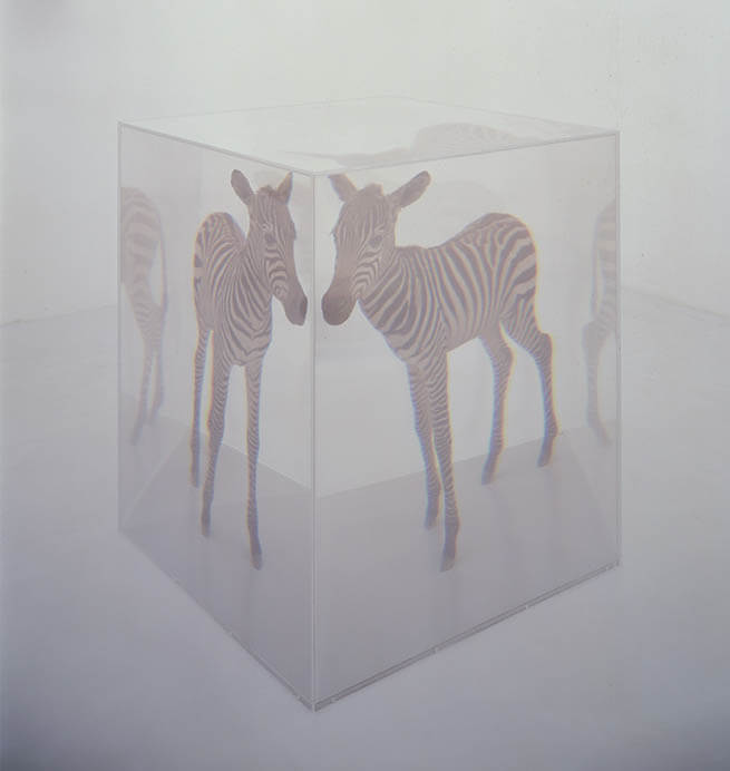 名和晃平「PixCell [Zebra]」2003　ミクストメディア　104.5 x .91.x 91. cm
©Kohei Nawa