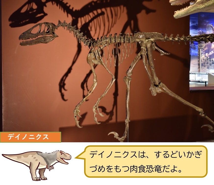 「恐竜vs哺乳類ー化石から読み解く進化の物語ー」ミュージアムパーク茨城県自然博物館