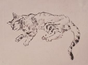 《眠る猫》1946年 インク・紙