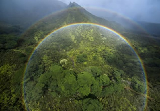 丸い虹/ハワイ
CIRCULAR RAINBOWS/HAWAII