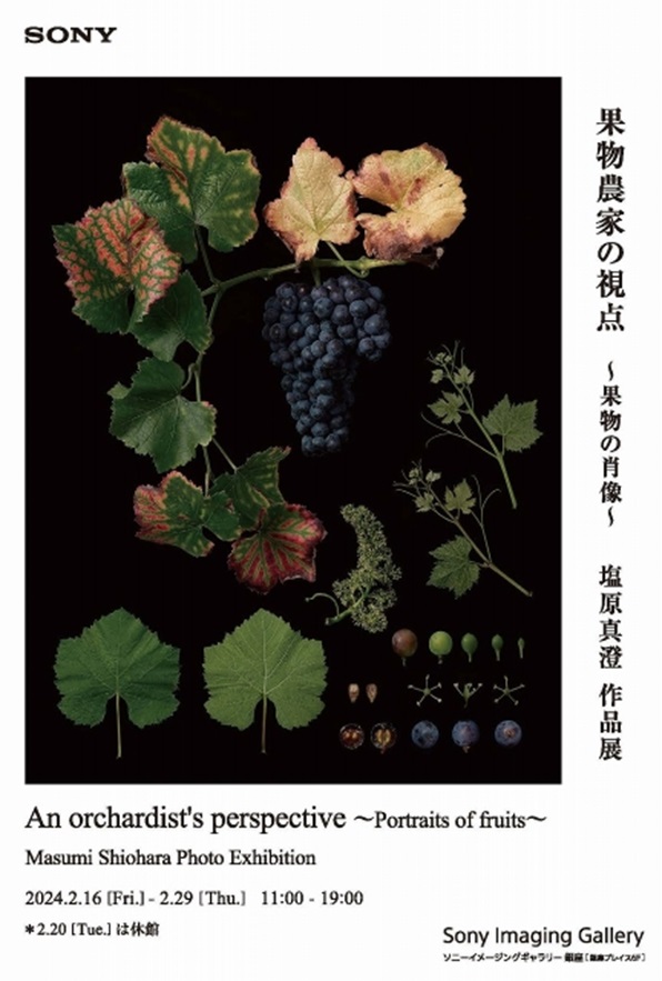 塩原真澄 「果物農家の視点～果物の肖像～」ソニーイメージングギャラリー 銀座