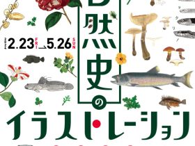 「自然史のイラストレーション ～描いて伝える・描いて楽しむ～」大阪市立自然史博物館