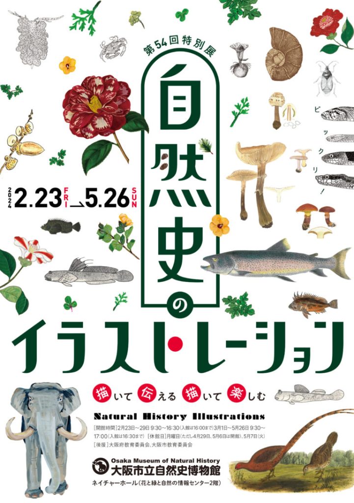 「自然史のイラストレーション ～描いて伝える・描いて楽しむ～」大阪市立自然史博物館