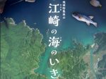 地域特集展示「萩・江崎の海のいきもの」萩博物館