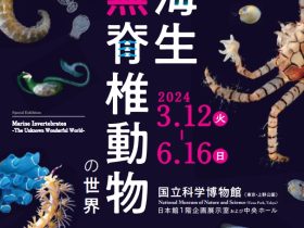「知られざる海生無脊椎動物の世界」国立科学博物館