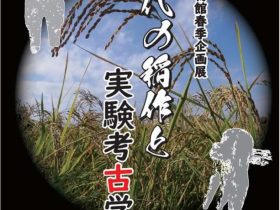 春季企画展「古代の稲作と実験考古学」静岡市立登呂博物館