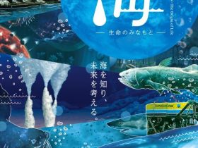 特別展「海―生命のみなもと―」名古屋市科学館