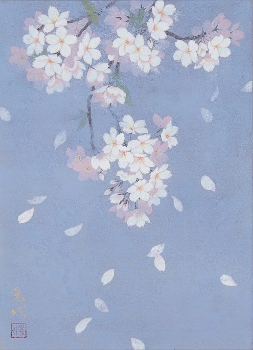 富永晃代

「桜舞う」

4号

岩絵具、麻紙

2024年