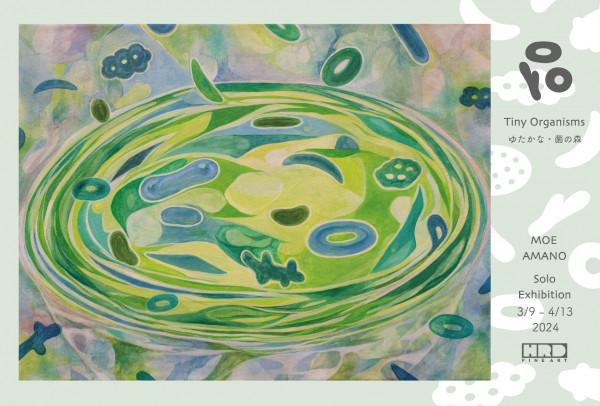 天野百恵 個展「Tiny Organisms - ゆたかな・菌の森 -」HRDファインアート