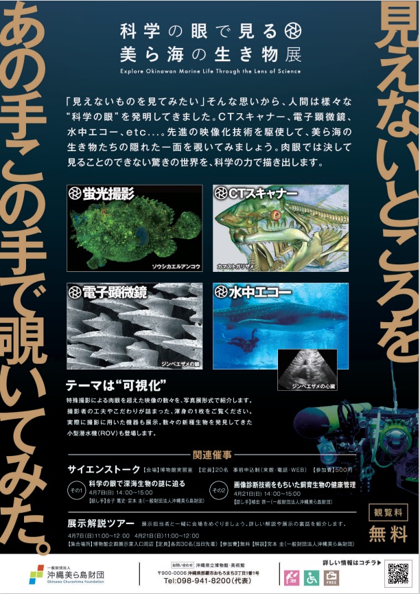 「科学の眼で見る美ら海の生き物展」沖縄県立博物館・美術館（おきみゅー）