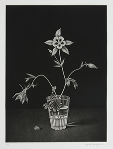 長谷川潔『コップに挿したアンコリの花（過去・現在・未来）』1965年（松本秀子コレクション）