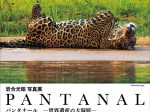岩合光昭写真展「PANTANALパンタナール　―世界遺産の大湿原―　清流がつむぐ動物たちの聖域」佐野美術館