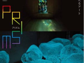 「プリズム―見えない光を捉えるアート」姫路市立美術館