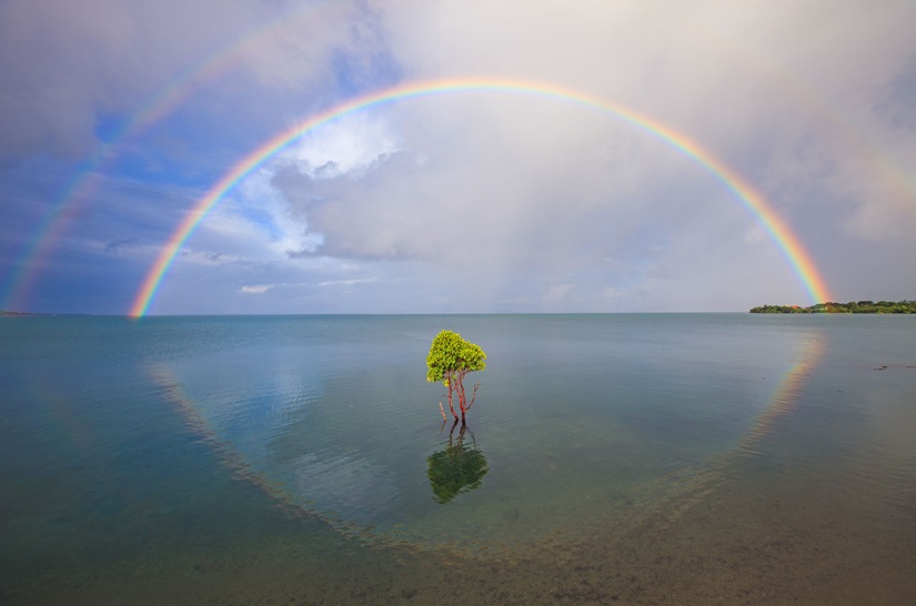 「奇跡の虹」 （アクリル、60×90cm）