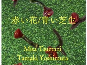 つえたにみさ + 義村環 「赤い花 / 青い芝生」HIRO OKAMOTO