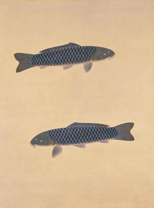 《鯉》 1954年 公益財団法人平木浮世絵財団【後期展示】