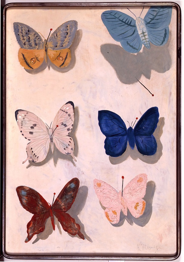 《飛ぶ蝶》1934(昭和9)年 詩人・安西冬衛（1898-1965）は、好太郎に先駆けて、ピンで留められた蝶のイメージを表現しました。