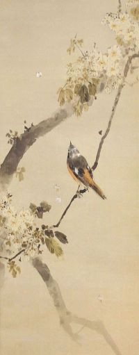 渡邊省亭筆「桜にひたきの図」
