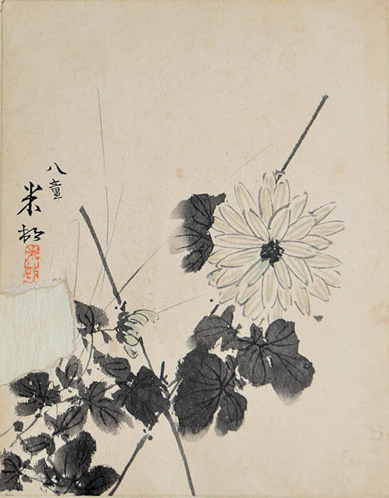 「菊図」大正4年（1915）紙本墨画淡彩　個人蔵
©2024 Hiroshi Niiyama