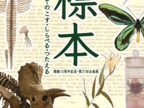 「標本　あつめる・のこす・しらべる・つたえる」三重県総合博物館（MieMu）