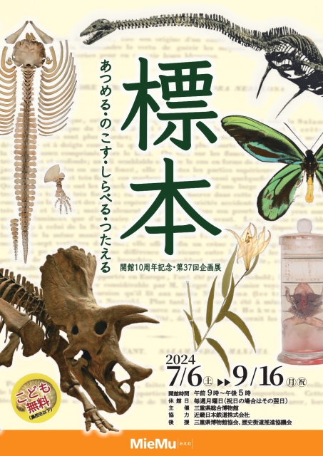 「標本　あつめる・のこす・しらべる・つたえる」三重県総合博物館（MieMu）