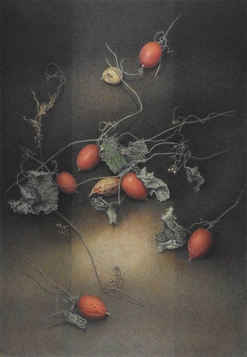 《カラスウリ（赤い実と緑の葉）》 2002年