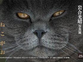 岩合光昭 「ねこがお」キヤノンオープンギャラリー