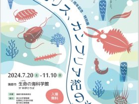 蒲郡市制70周年・生命の海科学館開館25周年記念 特別展「アノマロカリス、カンブリア紀の海をゆく」蒲郡市生命の海科学館