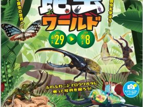 「あそべる！　昆虫ワールド 」おかざき世界子ども美術博物館