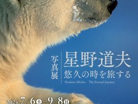 「写真展 星野道夫 悠久の時を旅する」長岡市栃尾美術館