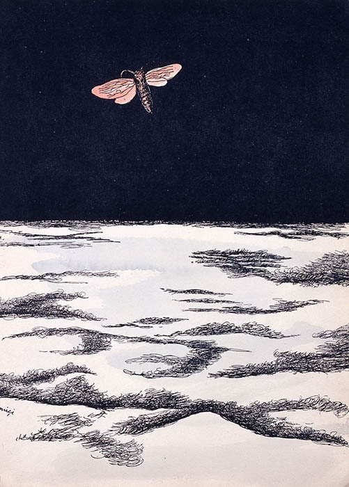 《筆彩素描集『蝶と貝殻』　雲の上の蛾》1934(昭和9)年