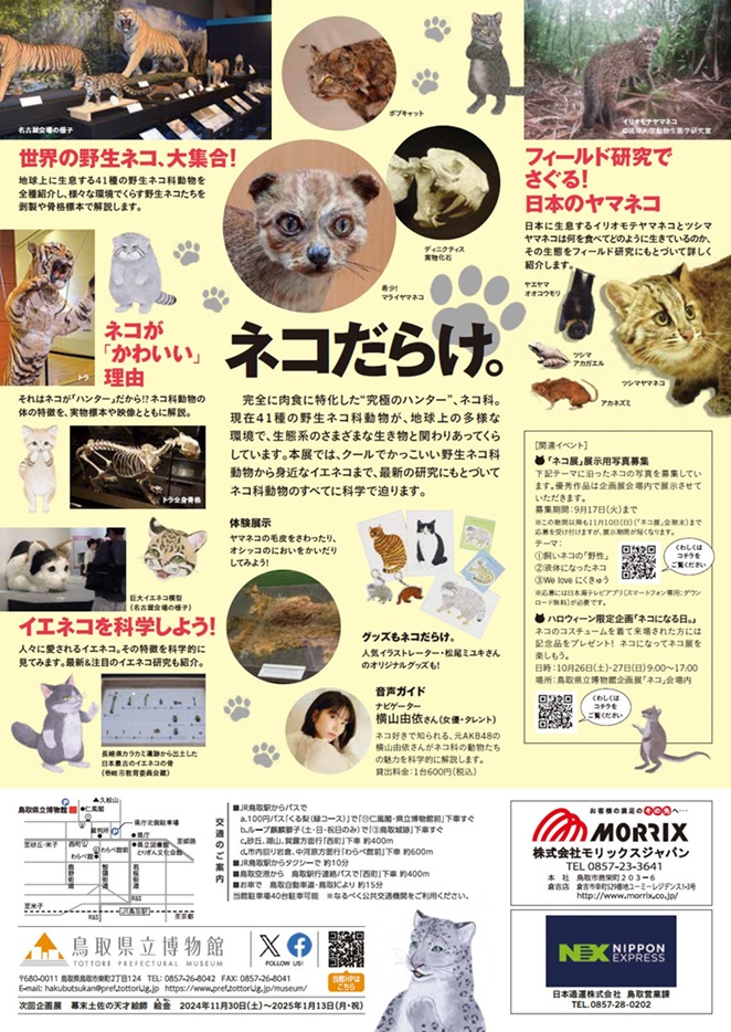 「「ネコ」～にゃんと！クールなハンターたち～」鳥取県立博物館