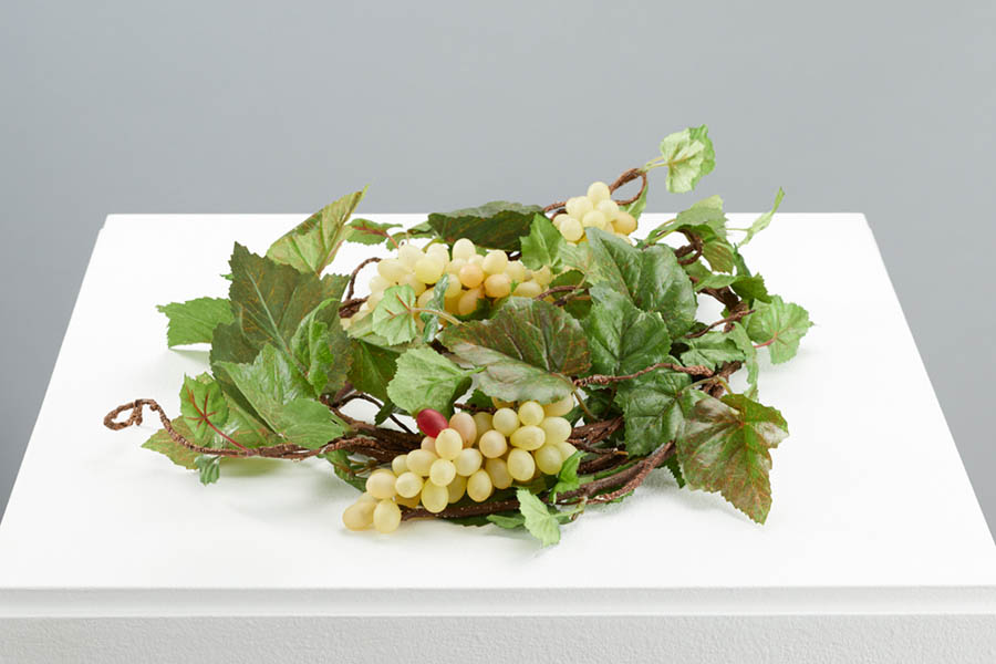 野村和弘《untitled (grapes)》2007　photo: Ichiro Otani