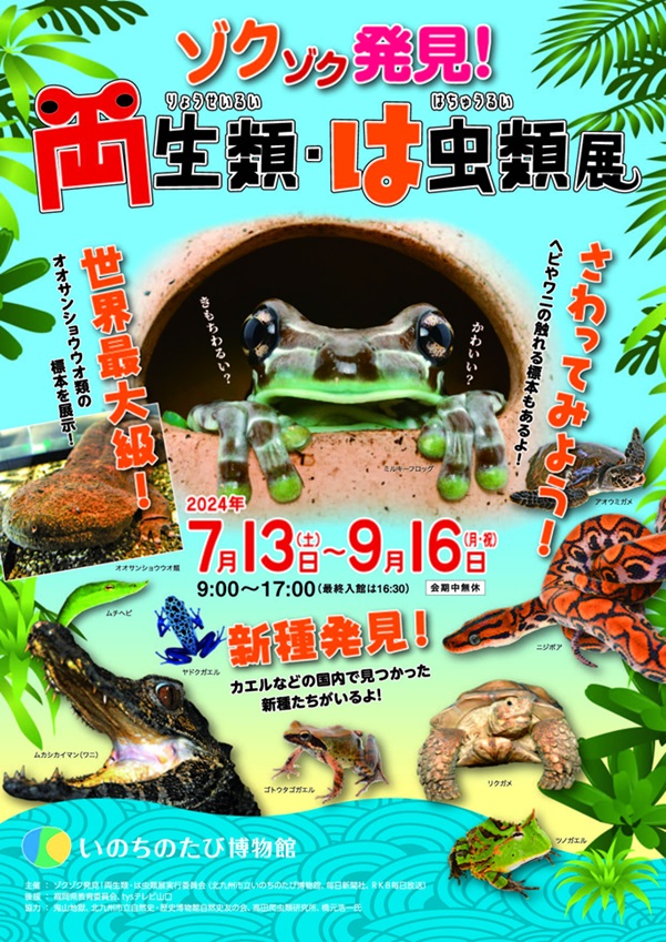 夏の特別展「ゾクゾク発見！両生類・は虫類展」北九州市立自然史・歴史博物館（いのちのたび博物館）